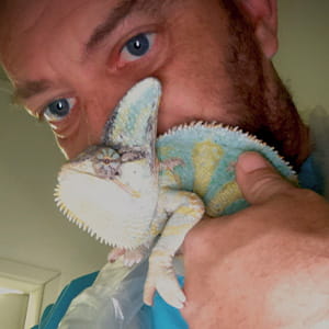 Close-up of a man with blue eyes holding a brightly colored turquoise and yellow veiled chameleon on his shoulder