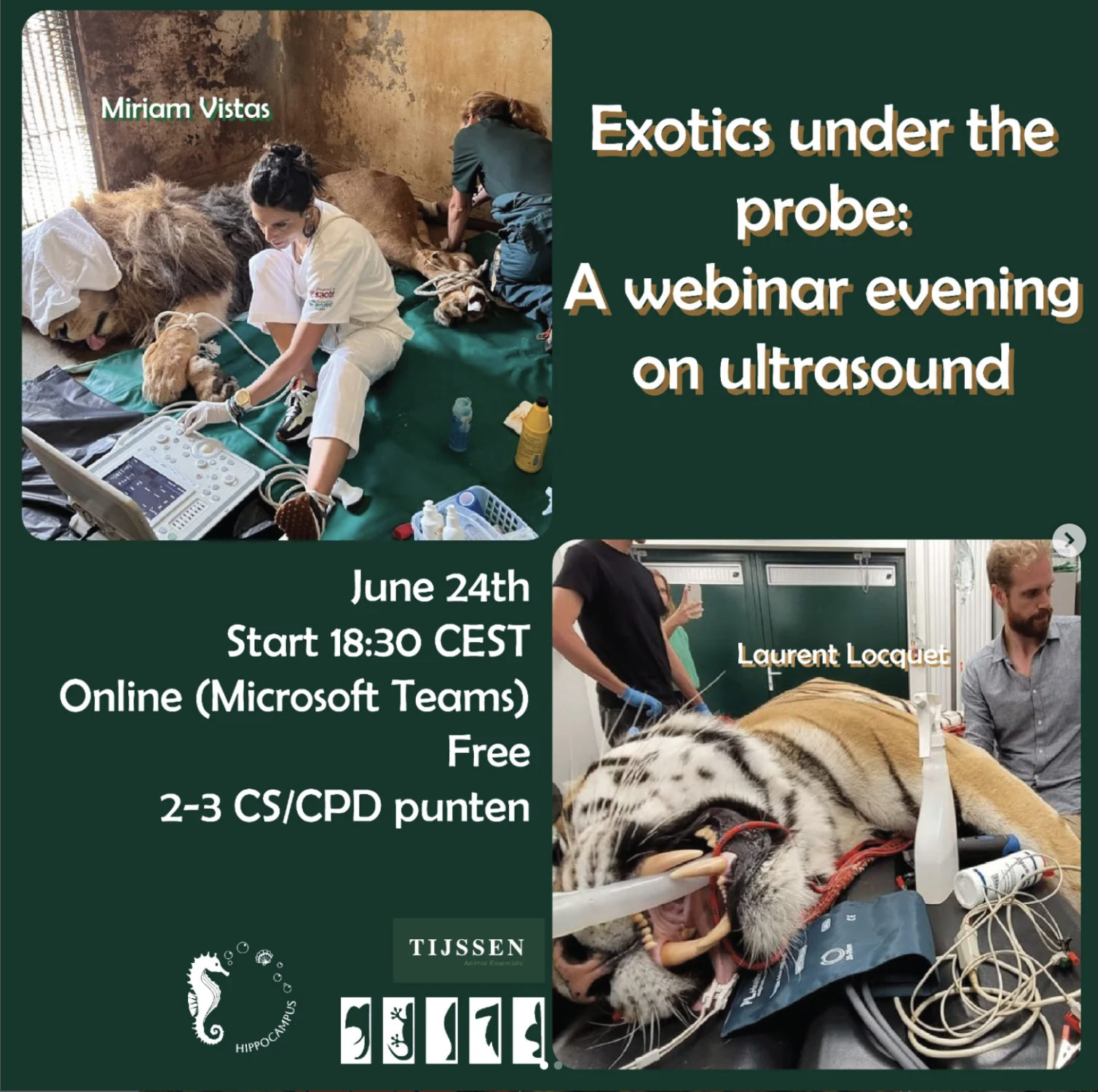 Exotics Under the Probe: Free Webinar on Ultrasound in Zoo and Exotic Species